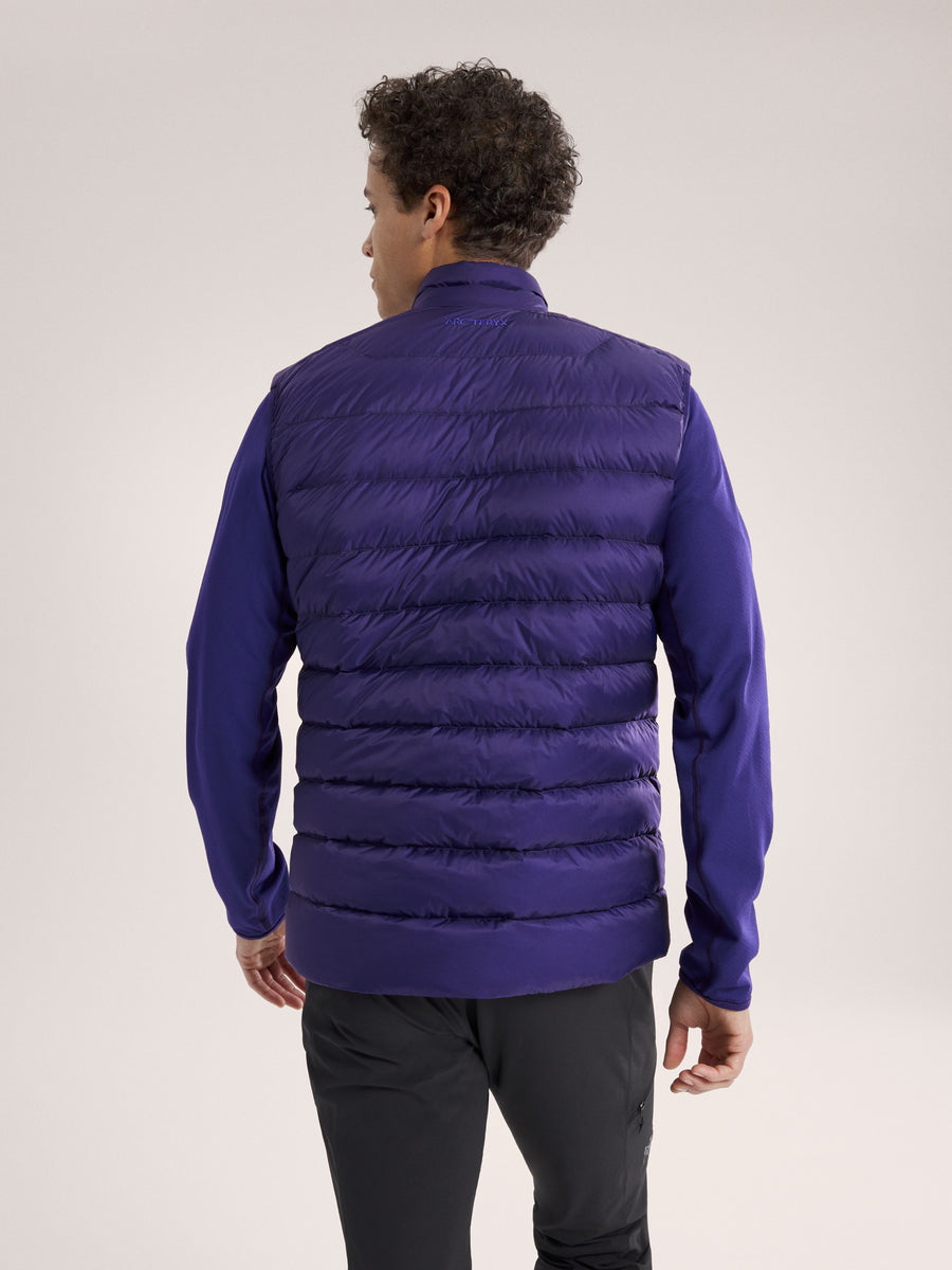 アークテリクス ダウンベスト 希少カラー アークテリクス ダウンベスト 希少カラー ARC'TERYX