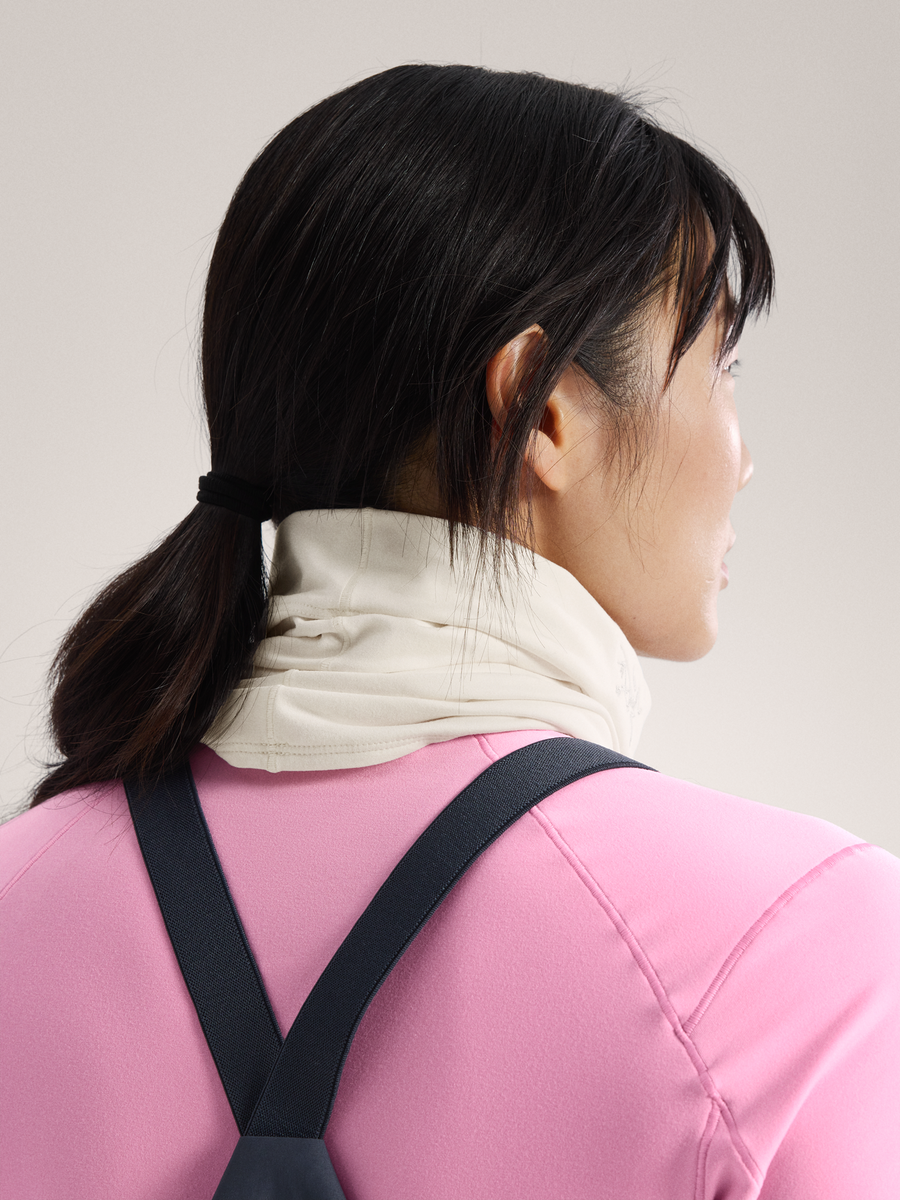 ARC'TERYX アークテリクス Neck Gaiter ネックゲイター ARC'TERYX [アークテリクス] Rho Lightweight Wool Neck Gaiter
