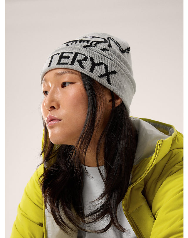 超希少！新品 アークテリクス Bird Head Toque ビーニー 完カナダ正規店購入