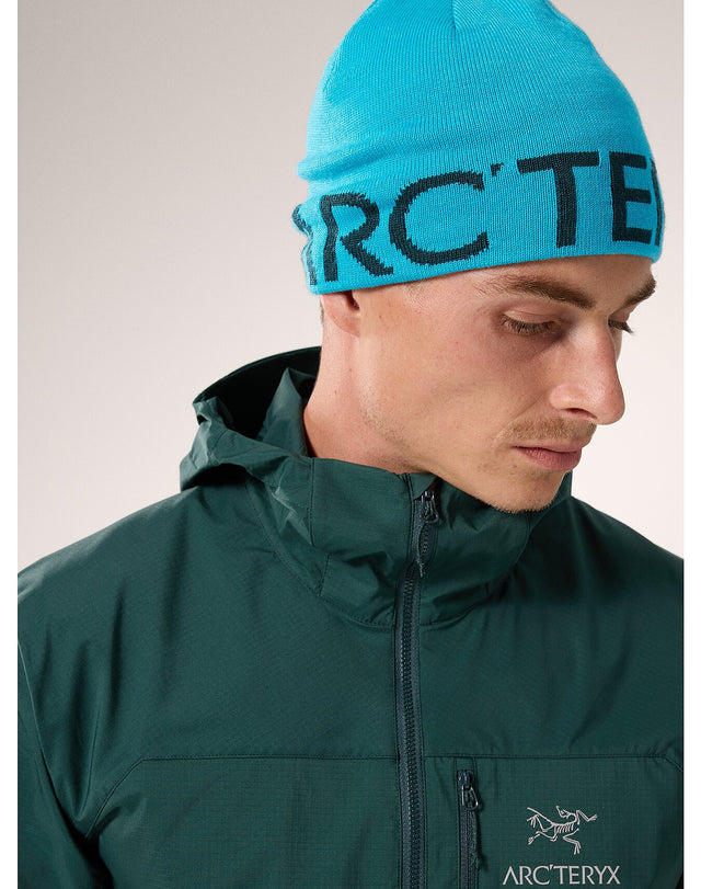 アークテリクス ワードヘッドトーク Word Head Toque - ニットキャップ