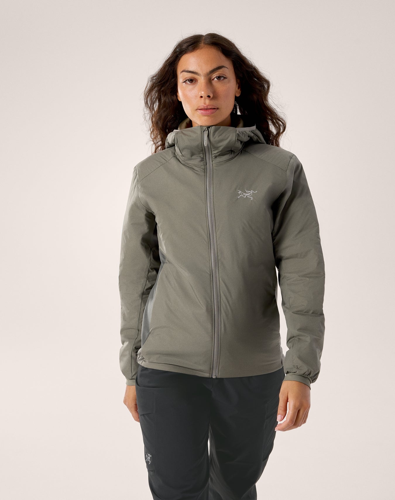 ジャケット・アウター ARC'TERYX Atom AR Hoody ARC TERYX Atom AR Hoody BEAMS exclusive Jacket S Nylon GRY