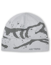 グロット トーク