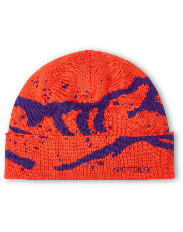 グロット トーク