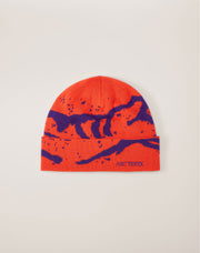 グロット トーク