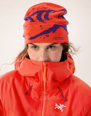 グロット トーク