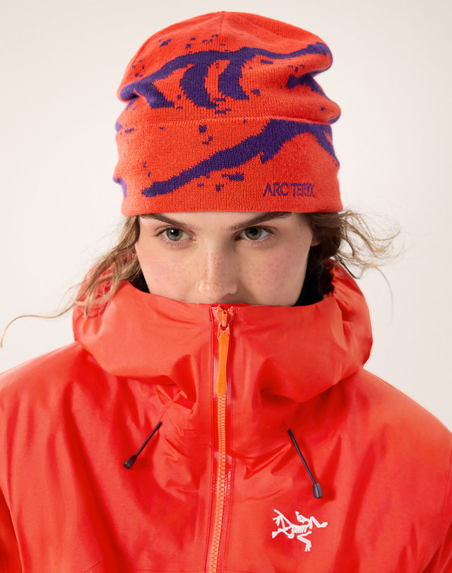 グロット トーク