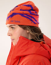 グロット トーク