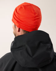 サトロ メリノ トーク