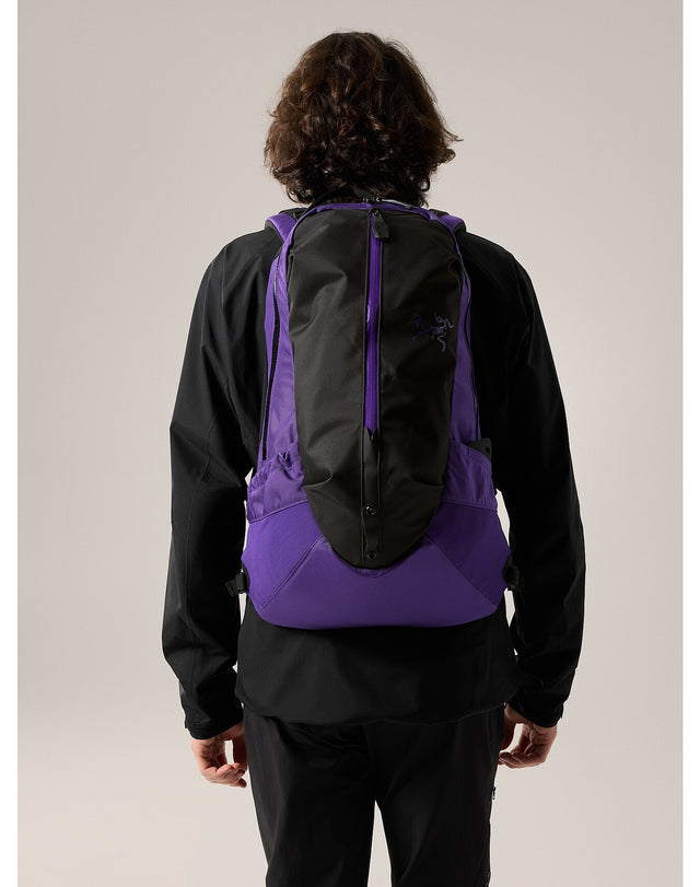 ARCTERYX アークテリクス ARRO アロー22  バックパック ブラックIndex