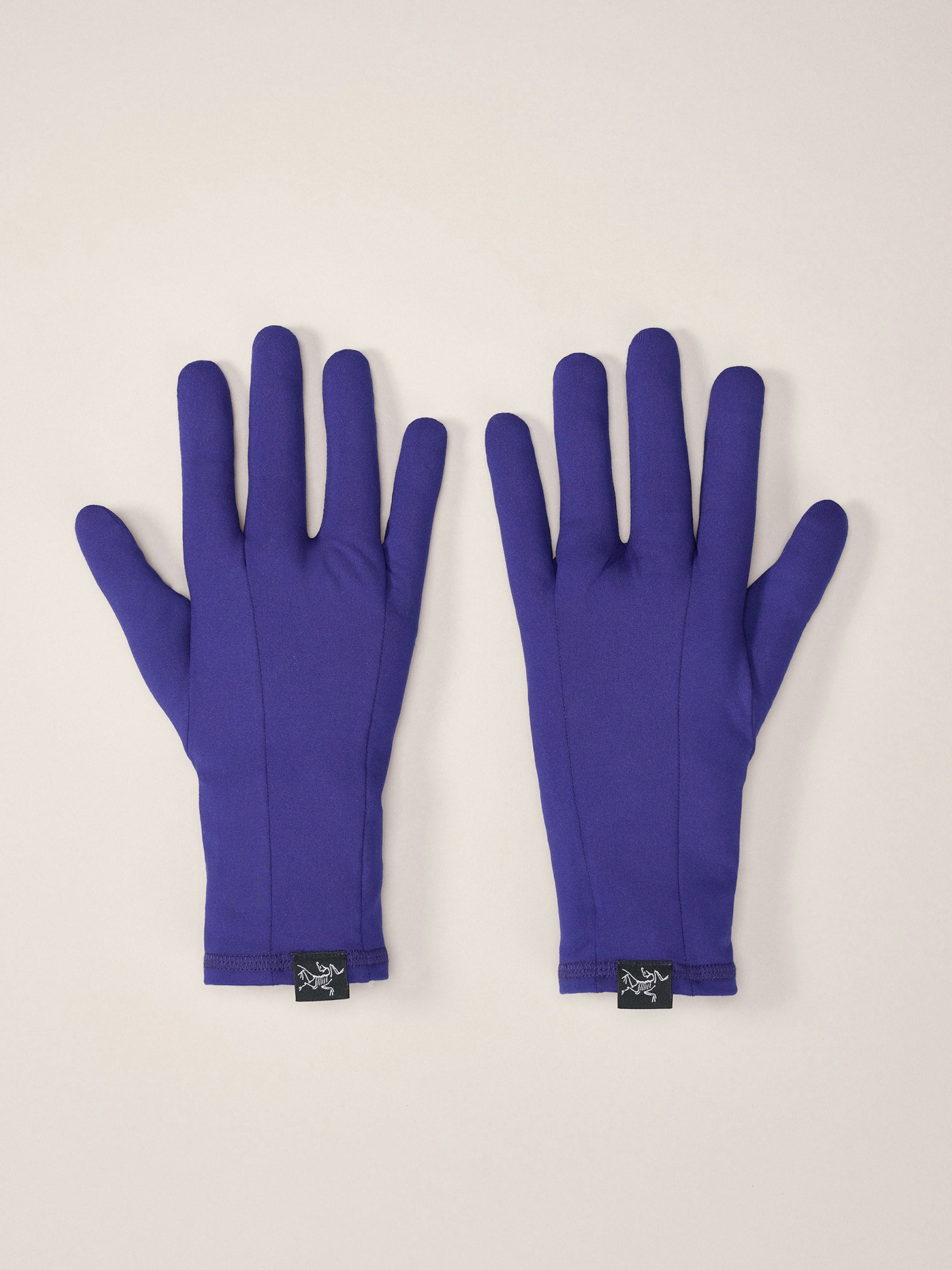 現品限り一斉値下げ！ メンズ グローブ｜ARC'TERYX｜アークテリクス公式オンラインストア 小物