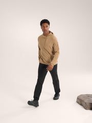 Arcteryx シーマ プルオーバー メンズ