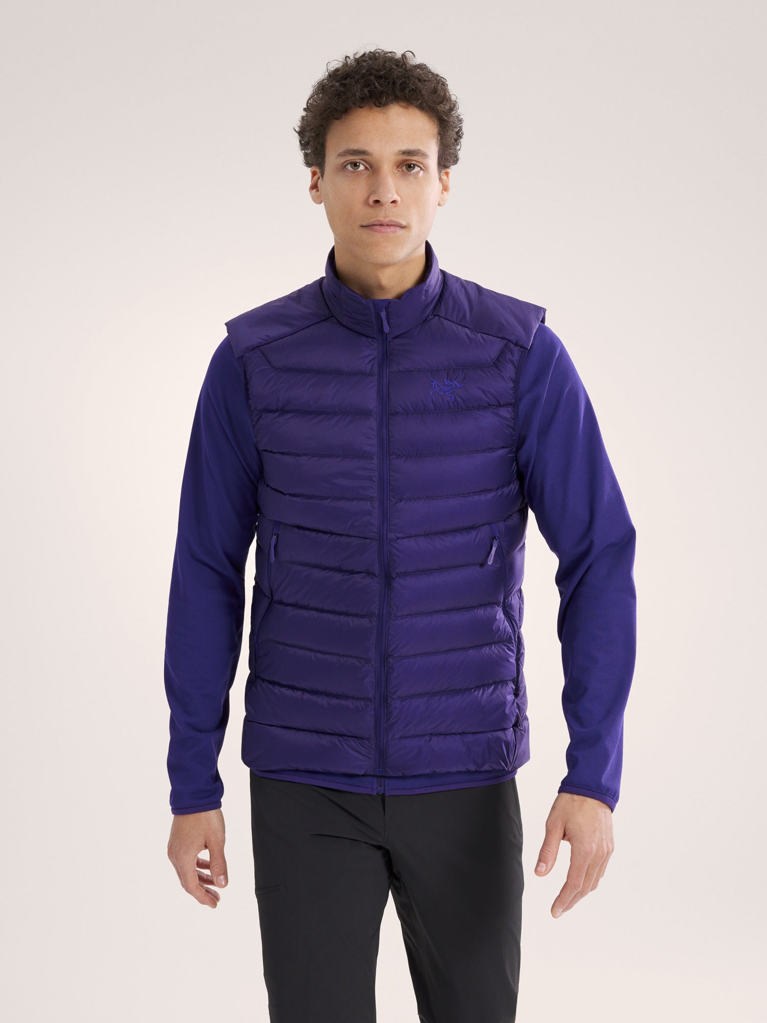 アークテリクス　ダウンベスト 楽天市場】【正規販売店】ARC'TERYX(アークテリクス) セリウム