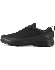 Arcteryx コンシール FL 2 メンズ