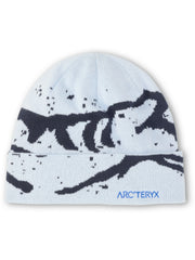 グロット トーク