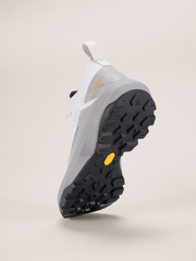 バーテックス アルパイン ゴアテックス メンズ