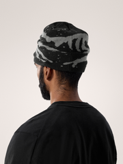 グロット トーク