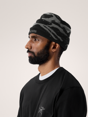 グロット トーク