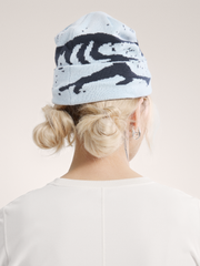 グロット トーク