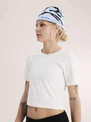 グロット トーク