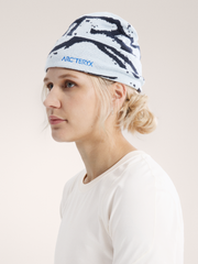 グロット トーク