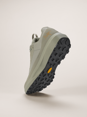 ノーバン LD 4 ゴアテックス メンズ