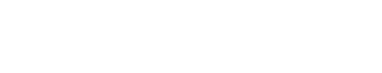 Veilance Logo