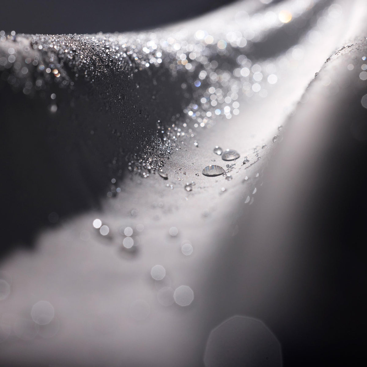 ゴアテックス プロePE