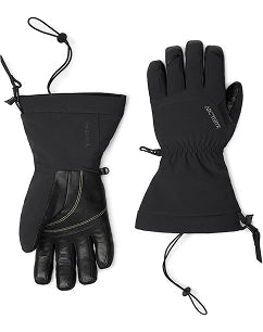 <p>フィション SV<br/>グローブ</p>