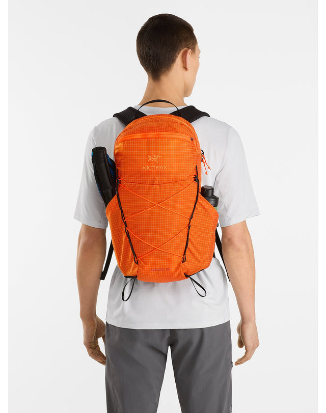 アークテリクス エアリオス 15 バックパック Aerios 15 Backpack デイパック ARCTERYX 27335 Pixel グレー系